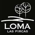 development-logo