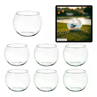 Kit 6 Vaso Aquário Redondo Pequeno 800 Ml Vidro Transparente