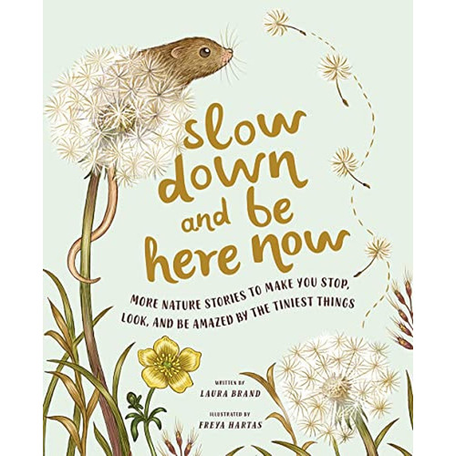 Slow Down and Be Here Now: More Nature Stories to Make You Stop, Look, and Be Amazed by the Tiniest, de Brand, Laura. Editorial Magic Cat, tapa pasta dura en inglés, 2023