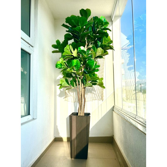 Planta Artificial Ficus Lyrata 180 Cm. Premium 232 Hojas