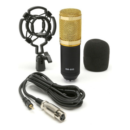 Microfono Profesional Youtube Set Estudio Video Juegos Bm800 Dorado