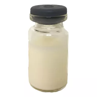 Vial De Nodulos De Kefir - Bulgaros O Tibicos