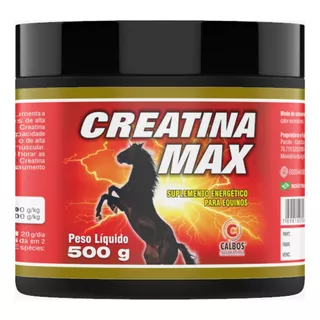 Creatina Max 500g