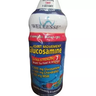 Glucosamina Liquida Wellesse - mL a $95