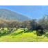 Lo Castro, Quebrada De Alvarado, Olmue. 5.000m2