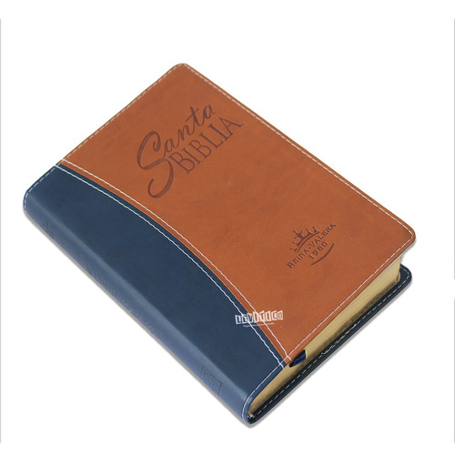 Biblia Letra Grande Azul/marrón