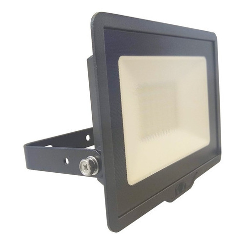Proyector Reflector Led 50w By Signify Philips Luz Fria Color de la carcasa Negro Color de la luz Blanco frío 220V