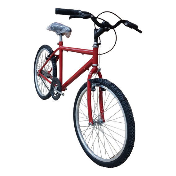 Bicicleta Infantil Mtb Rodado 24 Hierro C/frenos Mujer-varòn