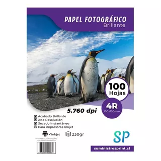 Papel Fotográfico Glossy 4r (10x15) 230gr X 100 Hojas Sp Color Blanco