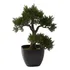 Árbol Artificial De Bonsái De Cedro 4966 Casi Natural, 15 Pu