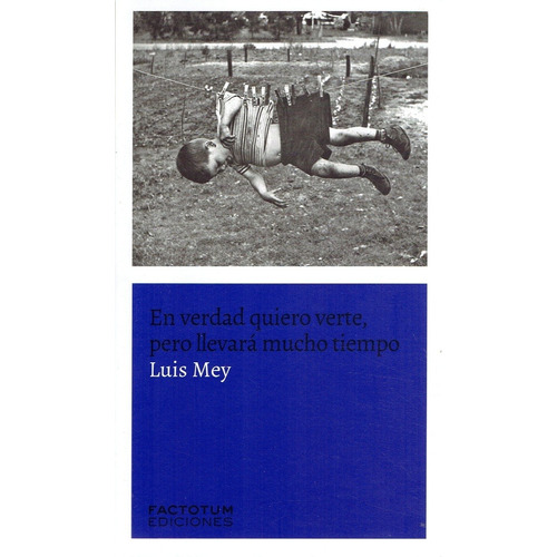 En Verdad Quiero Verte Pero Llevara Mucho Tiempo - Luis Mey