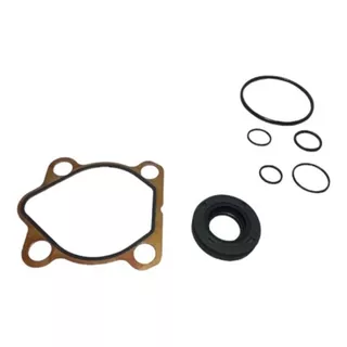 Kit De Bomba De Direccion Hyunday Elantra / Tucson / Accent