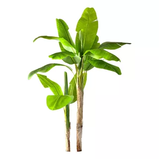 Planta Artificial Bananeira 2 Tronco Folhas Bambu Decoração