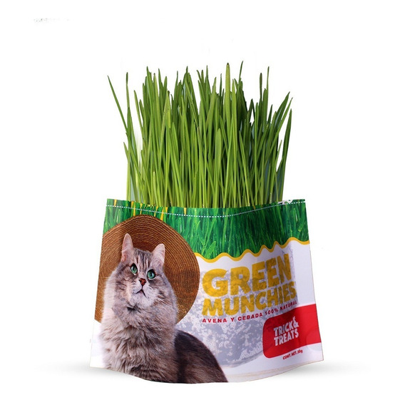 Pasto Avena Y Cebada Para Gatos, Green Munchies, 50g