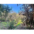 Lo Castro, Quebrada De Alvarado, Olmue. 5.000m2