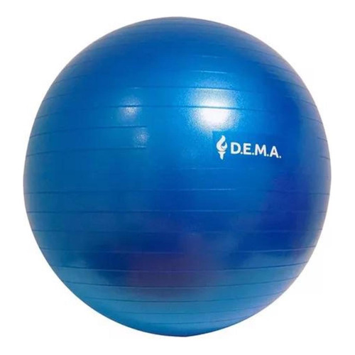 Pelota Esferodinamia Pilates Ejercicio Yoga Estirar 65 Cm Color Azul