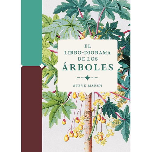 Libro-diorama De Los Arboles, El, De Steve Marsh. Editorial Folioscopio, Tapa Blanda, Edición 1 En Español