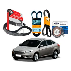  Correia Dentada Poly V Tensor Focus Sedan 1.6 2016 A 2019