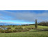 Sitio Con Vista Y Acceso Al Lago Ranco
