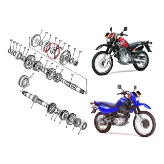 Retentor Do Pinhão Xt600z/xt600/xt600e/lander/tenere/fazer