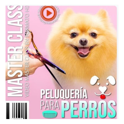 Curso De Peluquería Para Perros 