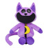 Purple cat with big mouth