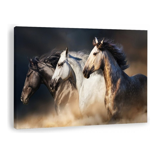 Canvas | Mega Cuadro Decorativo | Caballos | 140x90