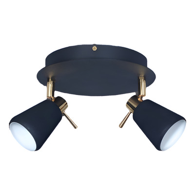 Plafon Techo 2 Luces Moderno Negro Detalles Oro Rd