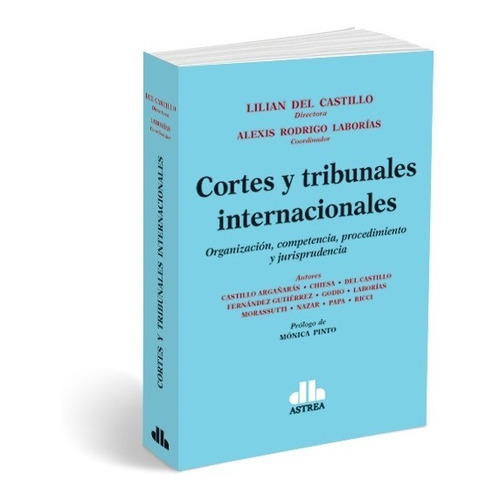 Cortes Y Tribunales Internacionales - Incluye Jurisprudencia