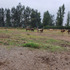 Terreno Construccion  En Venta En San Fernando