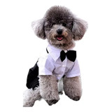 Traje Elegante Para Mascotas