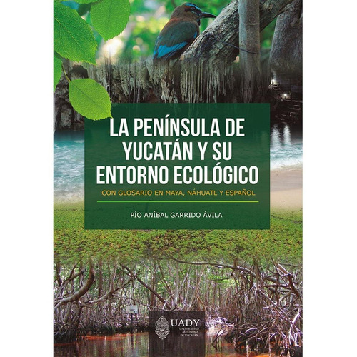 La Península De Yucatán Y Su Entorno Ecológico