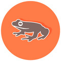 Reptiles y Anfibios