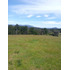 Espectacular Campo De 200 Hectareas En Loncoche
