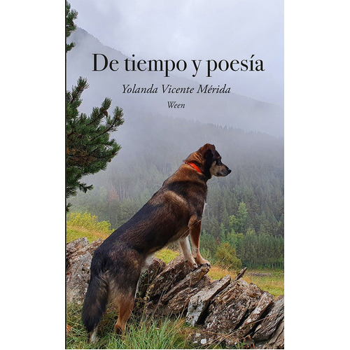 DE TIEMPO Y POESIA, de VICENTE MERIDA - WEEN, YOLANDA. Editorial Talon de Aquiles, tapa blanda en español