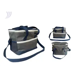 Bolsa Térmica 21 Litros Bag Freezer Lanche P/ Cerveja no Mercado Livre com oferta e cupom de desconto