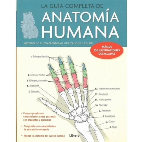 La Guia Completa Anatomia Humana