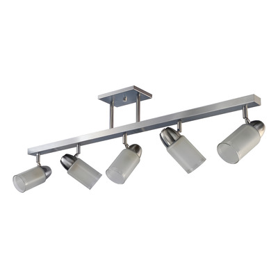 Plafon Barral 5 Luces Acero Vidrio Cabezal Movil Apto Led Acero