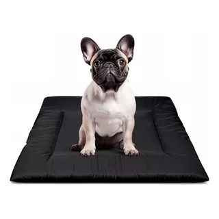 Colchonete Cama De Cachorro Caminha Pet 80x60 Cores