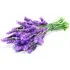 Flores Lavanda Organica Natural. 100g.