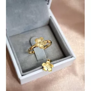 Anel Ouro 18k - Flor