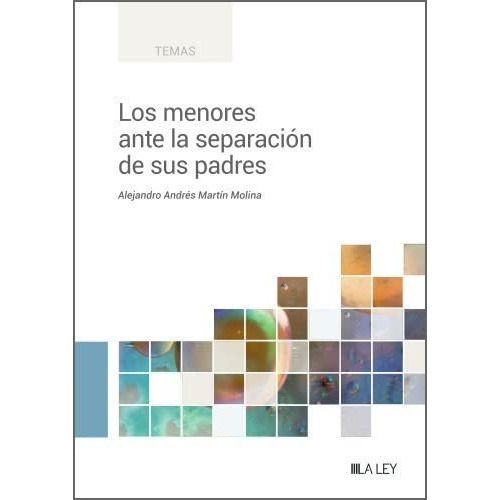 Los menores ante la separación de sus padres, de Alejandro Martin Molina. Editorial La Ley, tapa blanda en español, 2023