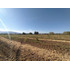 Terreno Agrícola En Venta, Campo De 60 Ha, Teno