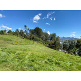 Vendo Lote 10000 Mts En La Ceja, Terrazas Del Capiro San Nicolas