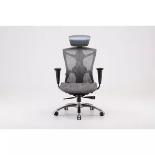 Silla Ergonómica Ejecutiva Randu Premium V2