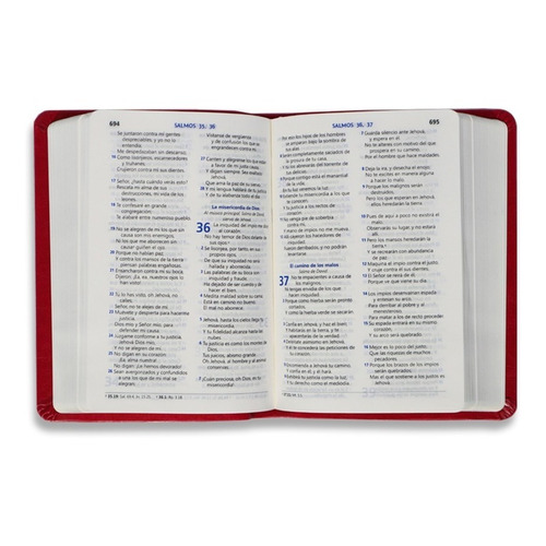 Biblia Rvr60, Mediana, Imitación Piel Rosa, Letra Grande