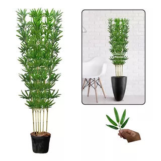 Bambu Mossô Artificial 6 Hastes 180cm + Vaso Apoio