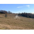 Cod40127 Agrícola En Venta En Cunco 15 Ha. Con Vertiente