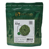 Semente Alface Ariel - Horticeres - 5.000 Sementes