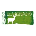 development-logo